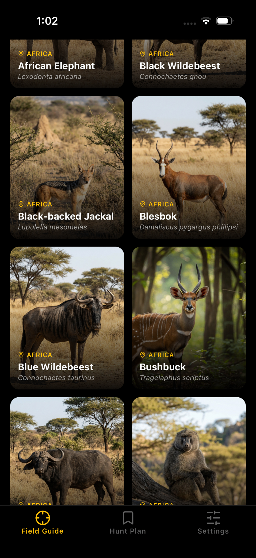 African species grid with safari game animals