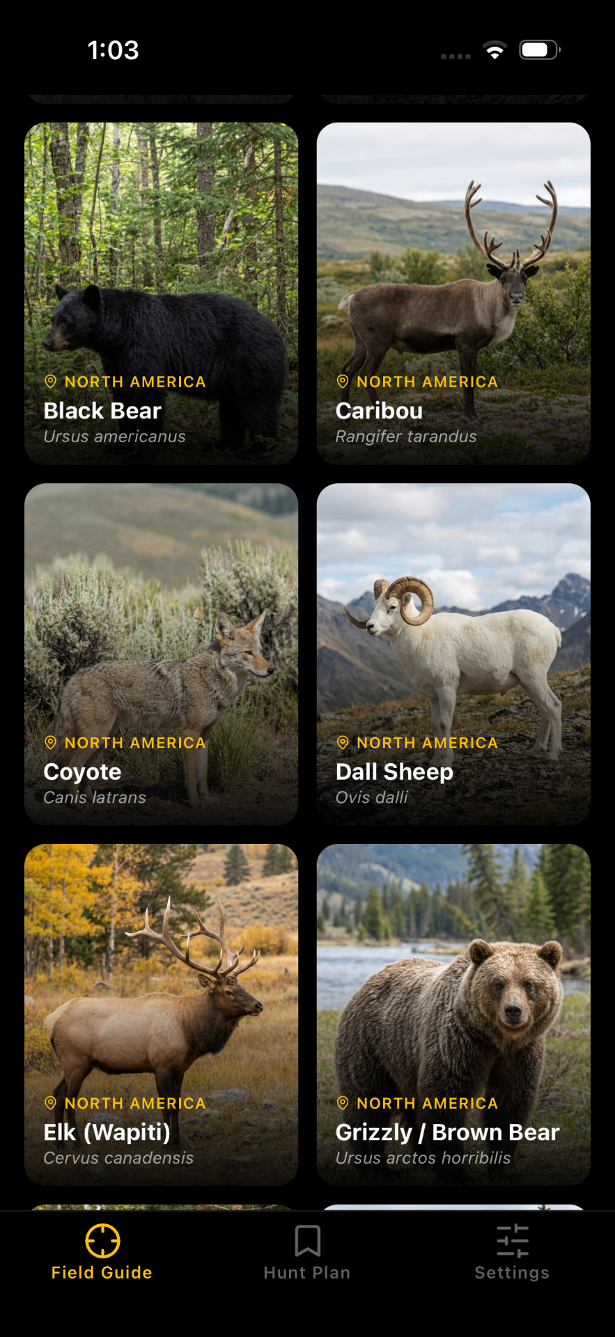 North American species grid with bear, elk, and sheep